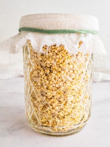 A small jar of sprouted quinoa seeds.