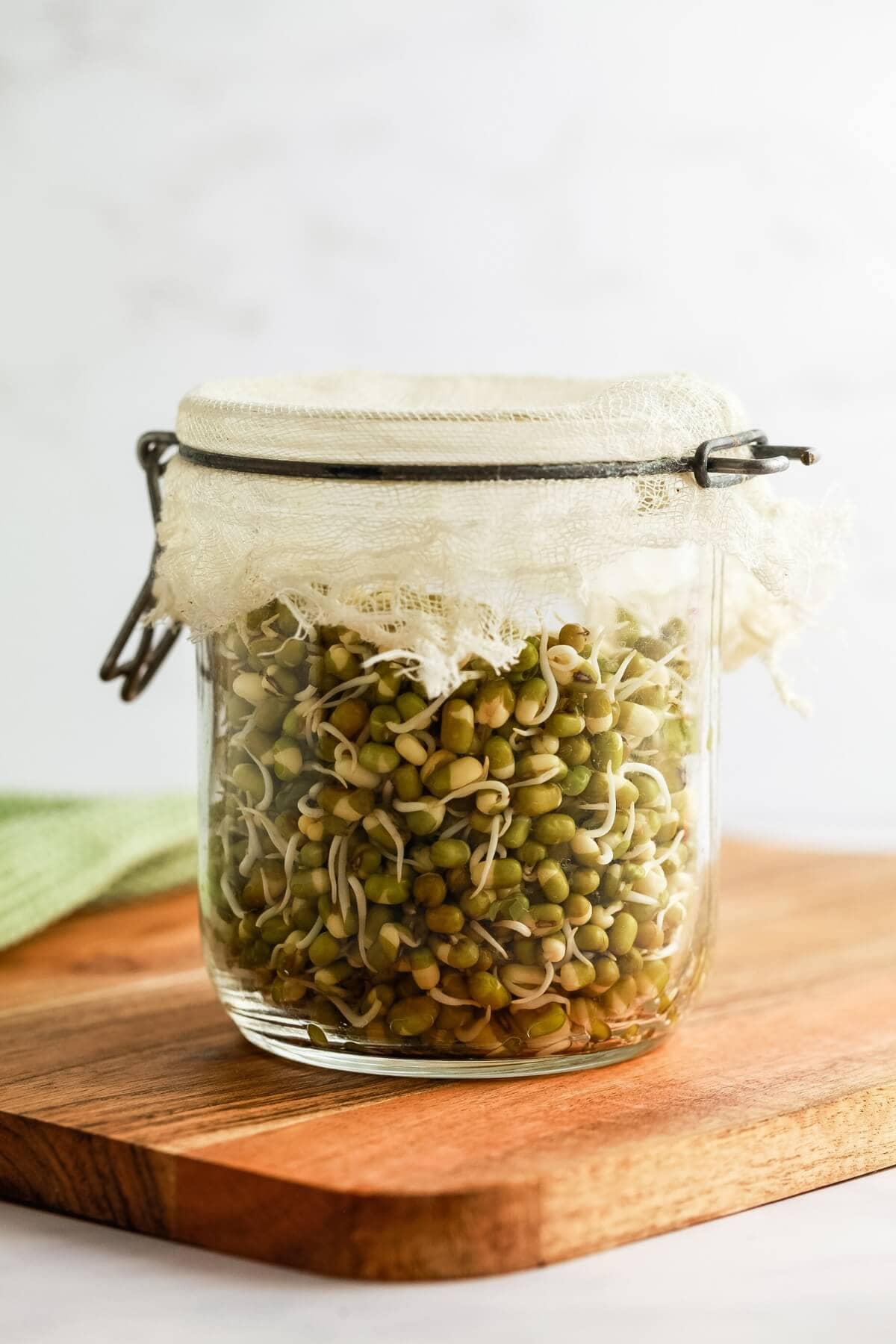 A mason jar with a mulin cloth lid is filled with raw mung bean sprouts & sat on a wooden chopping board.