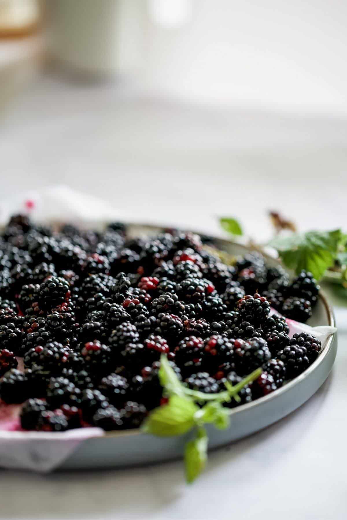 Blackberries are left to dry on a paper towel covered dinner plate.