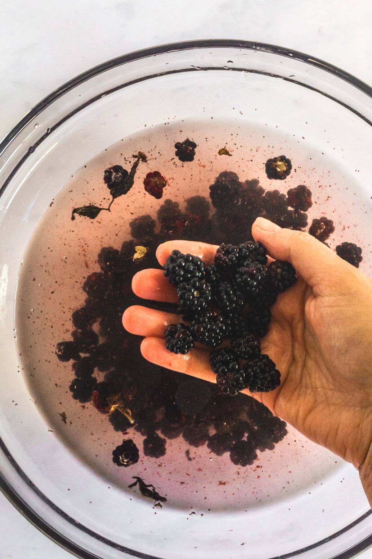 Fresh blackberries are in a bowl of water being washed. Someones right hand scoops out some berries.