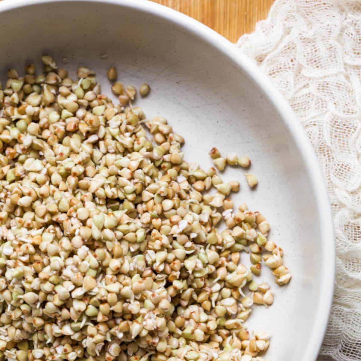 A bowl of sprouted buckwheat sits on a wooden surface next to a piece of cheesecloth.