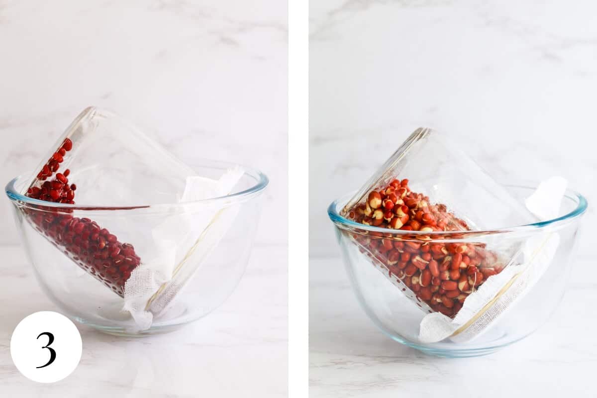 Two photos: adzuki beans before and after sprouting, in a mason jar sat angled in a bowl.